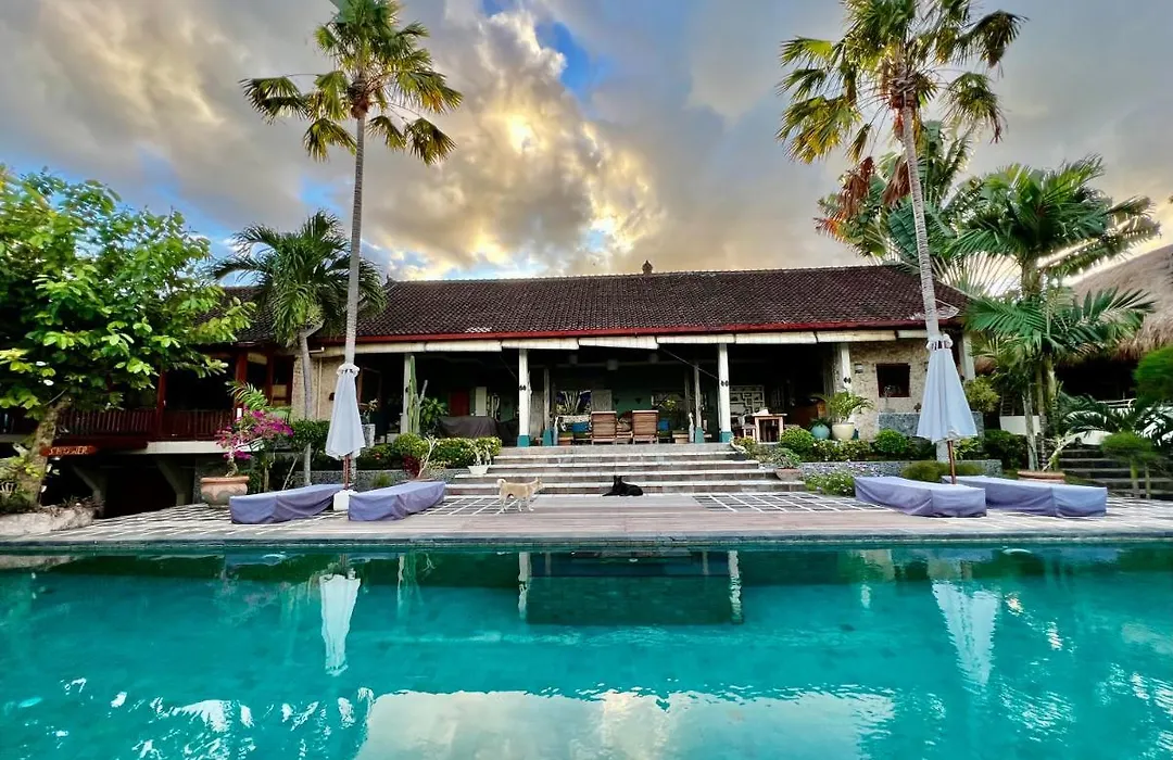 Villa Anjing-1