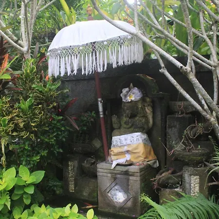 Summer Homestay Bali-2