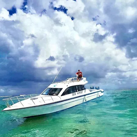 Sea-3