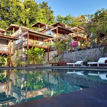 The Tree House-3