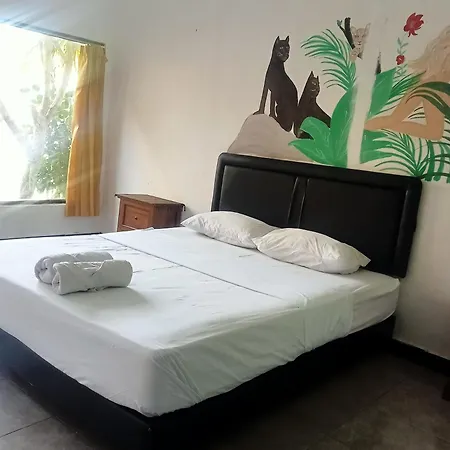 Vico Hotel-2